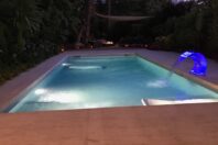 Envoltada de vegetació